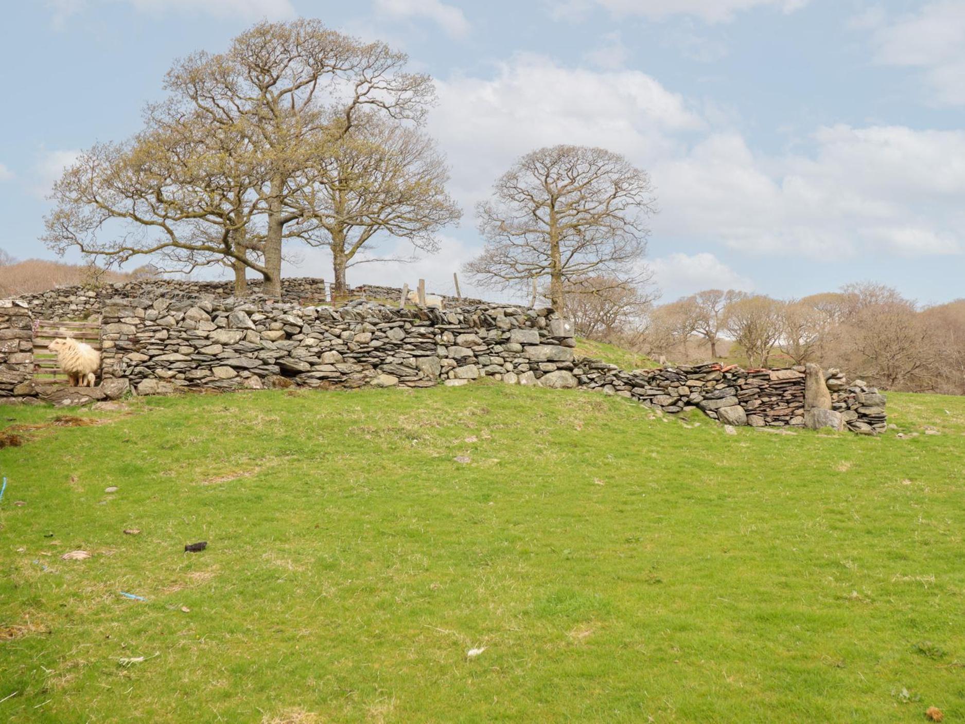 Y Bwthyn Villa Llanbedr  Exterior foto
